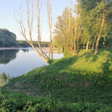 Villa Pertini Appartamento Primo Piano Nel Parco Oglio Sud Canneto sull'Oglio 외부 사진